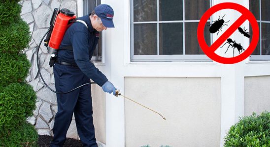 Gölcük Böcek ve Haşere İlaçlama böcek ilaçlama ve haşere kontrolü — ilaclama-tr.com